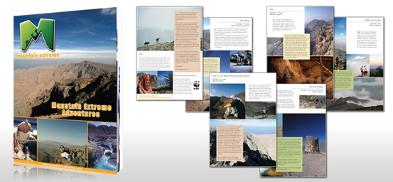 Brochure Design Sample 8
